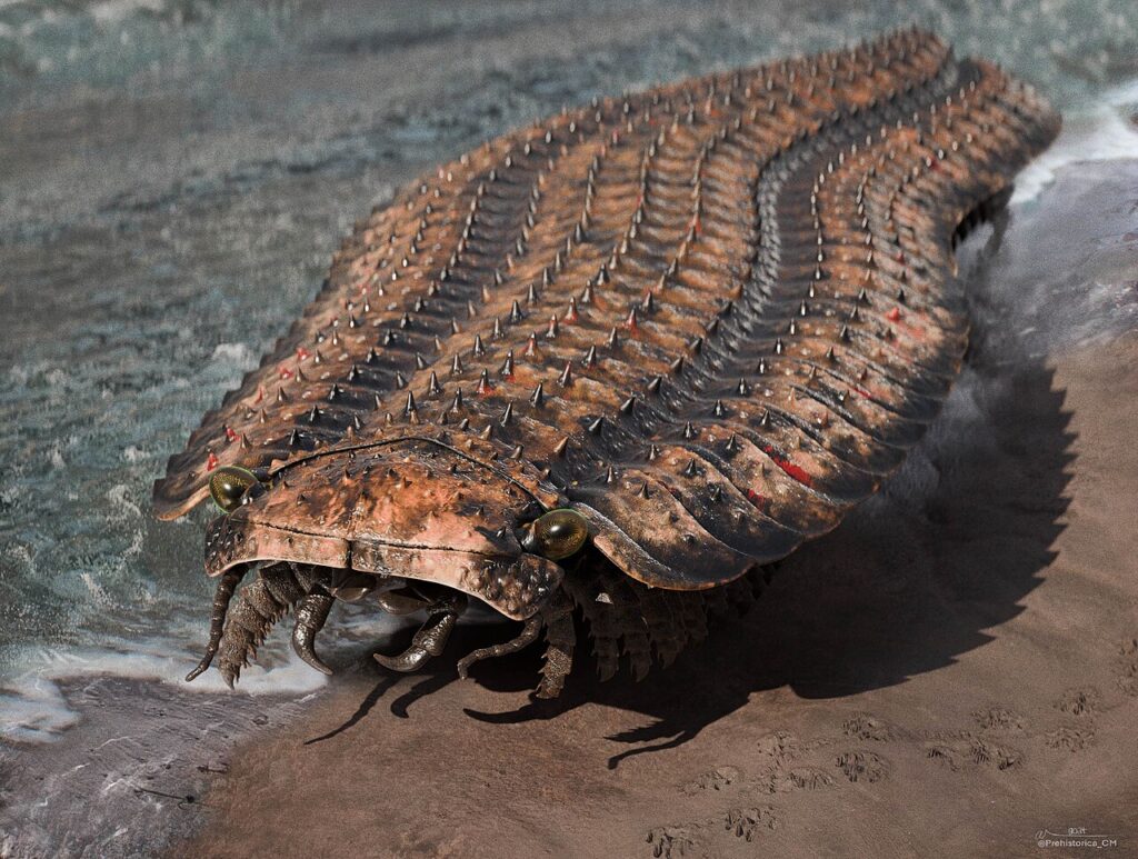Scientific reconstruction of Arthropleura, the giant Carboniferous land arthropod