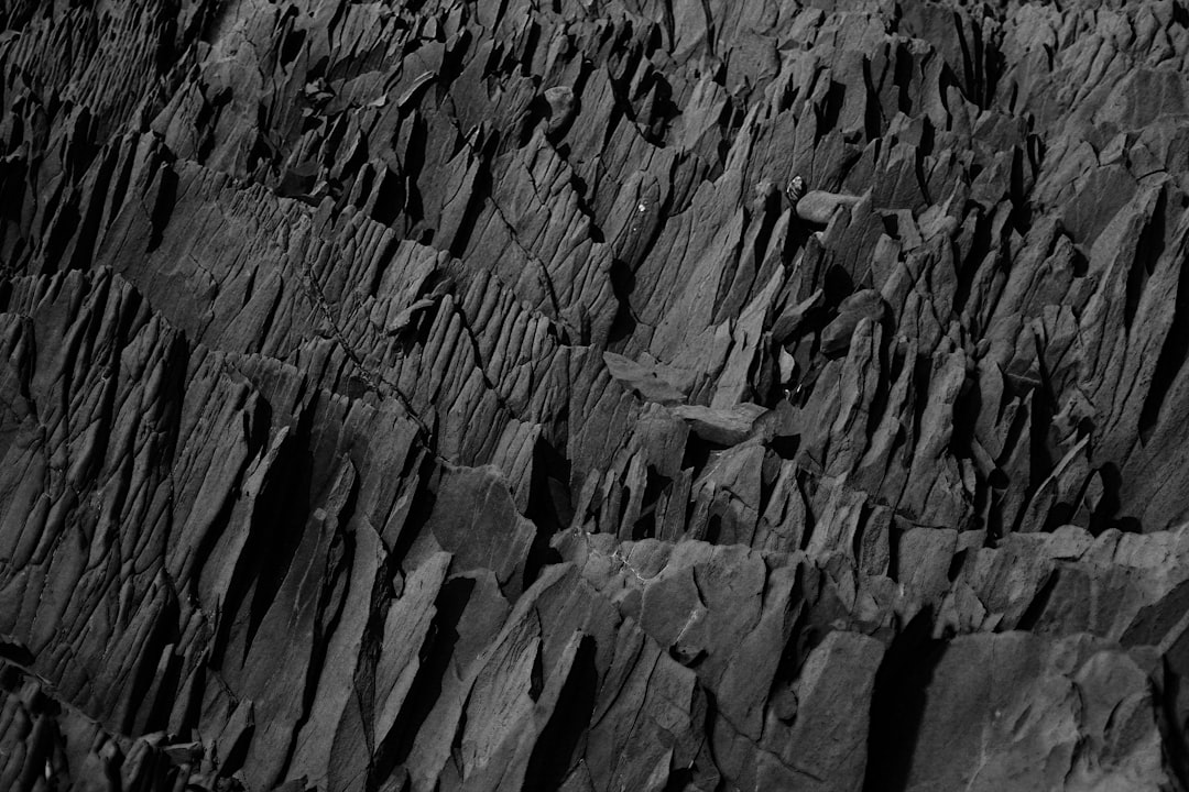 Dark geological rock layers illustrating coal formation from ancient Carboniferous vegetation