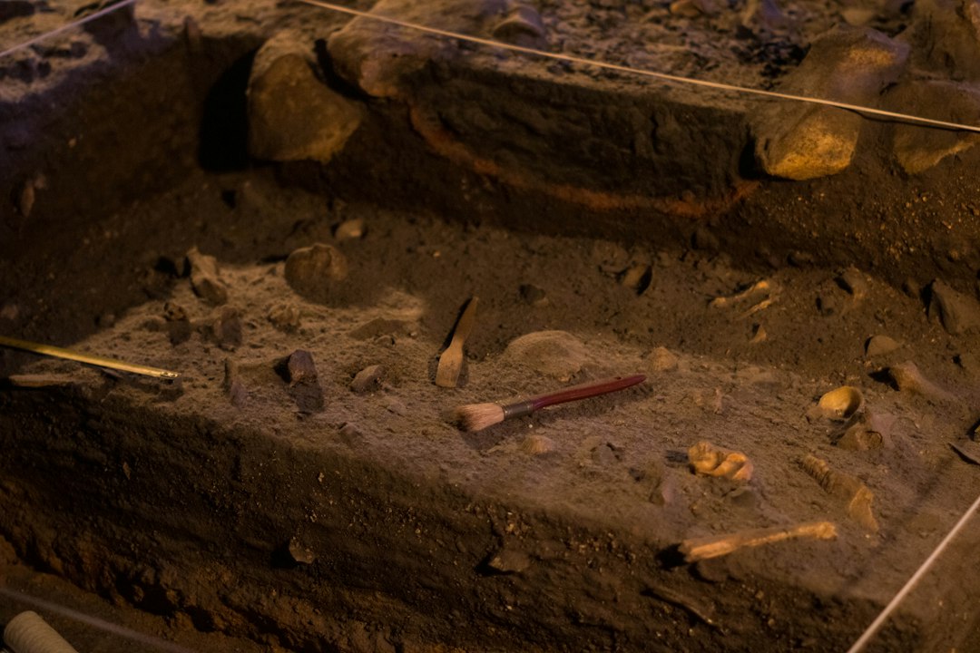 Archaeological excavation tools illustrating ancient DNA and Denisovan research