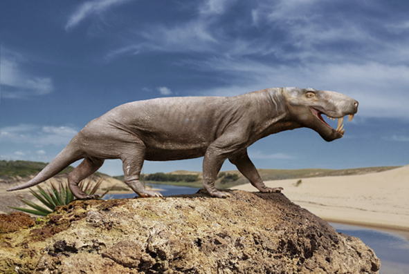 Reconstruction of Inostrancevia, a large saber-toothed gorgonopsian from the Permian